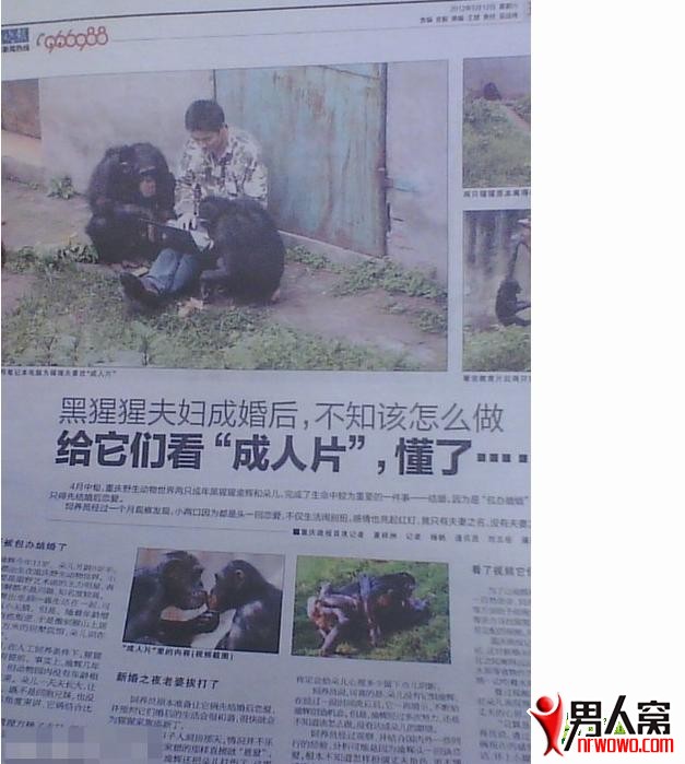 0.jpg