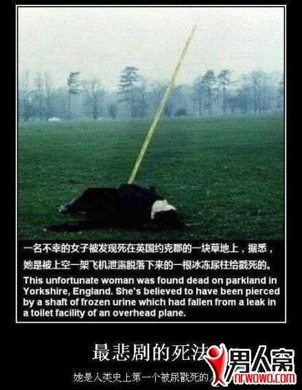 0.jpg