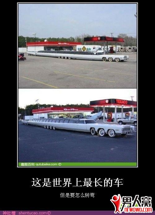51.jpg