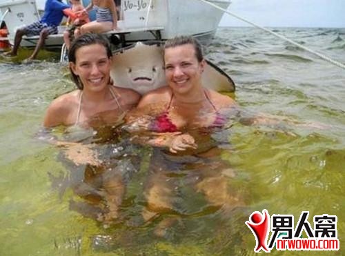 34.jpg