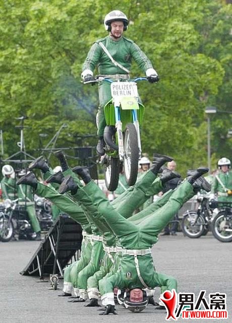 5.jpg