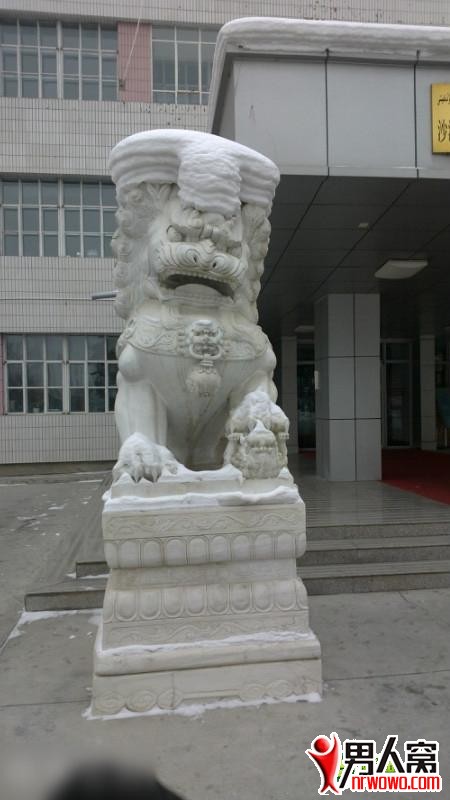 26.jpg