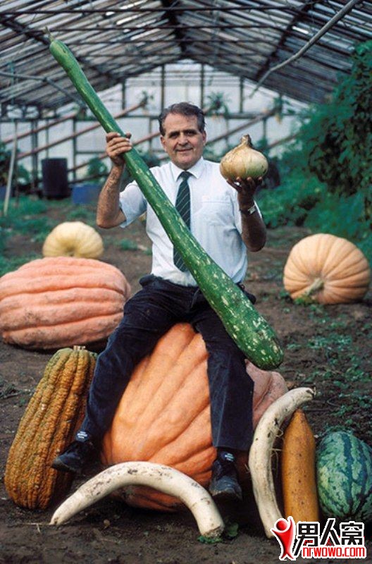26.jpg