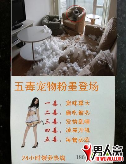14.jpg