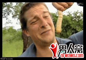 26.jpg