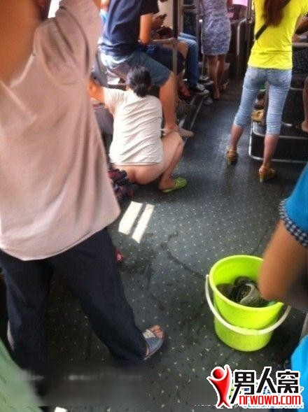 0.jpg