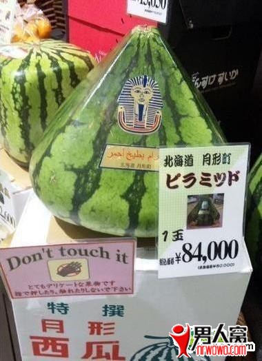 0.jpg