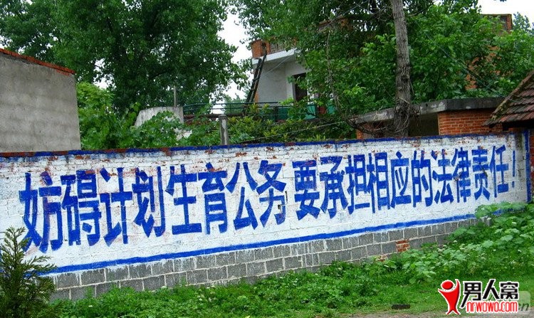 0.jpg