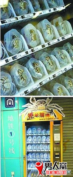 0.jpg