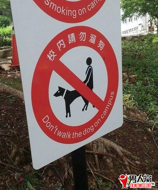 0.jpg